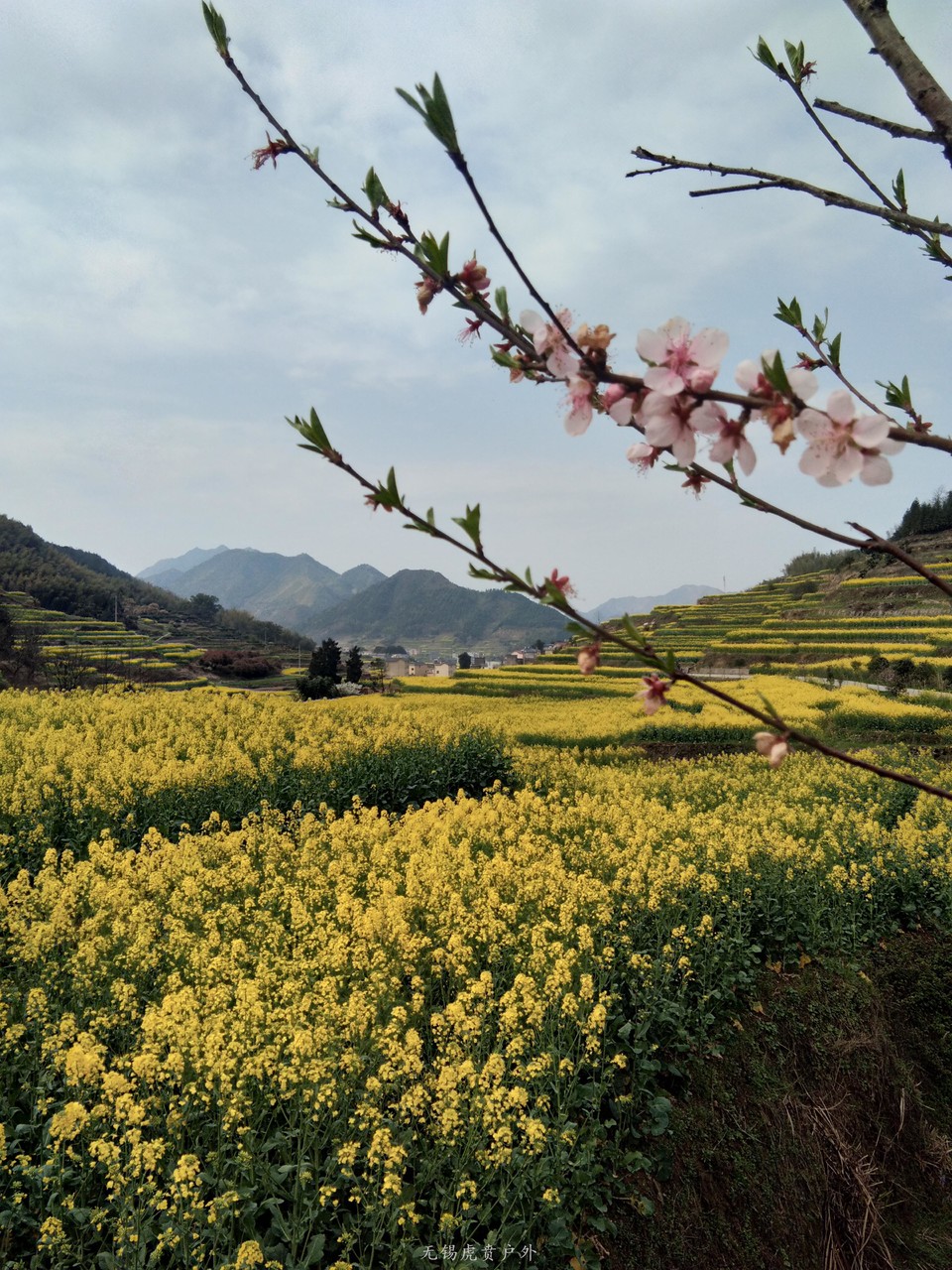 mmexport1522023598848