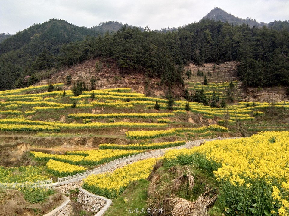 mmexport1522023603143