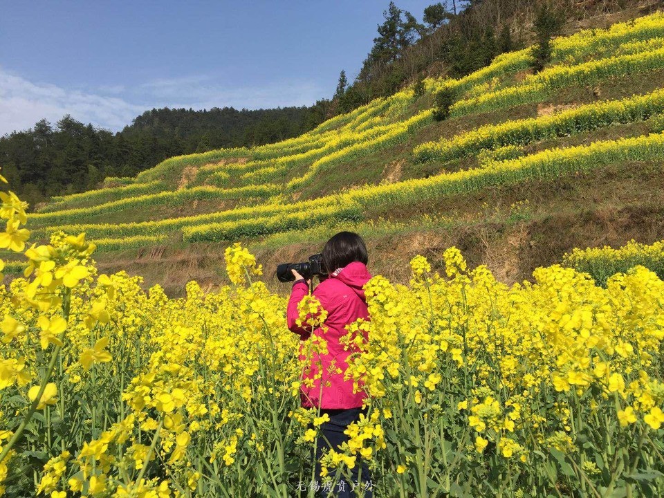 mmexport1522023683372