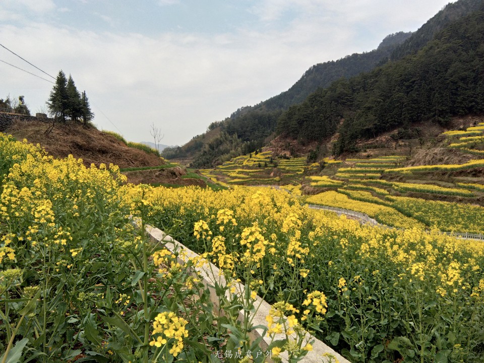 mmexport1522023606065