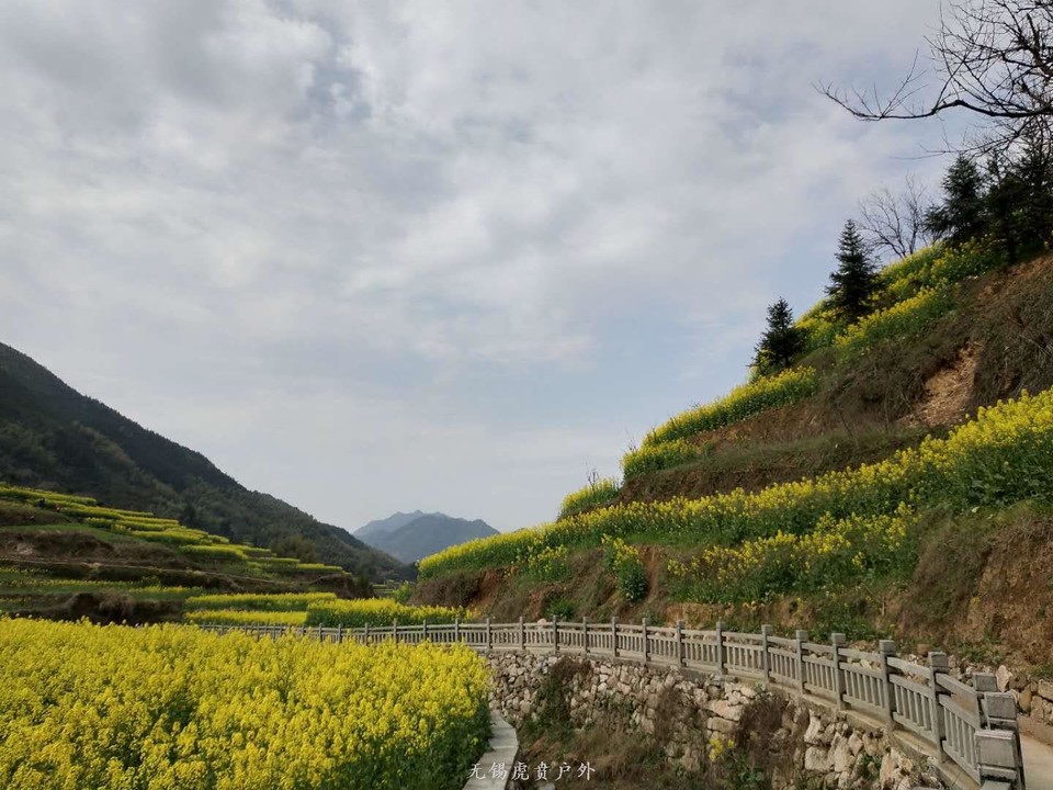 mmexport1522023707681