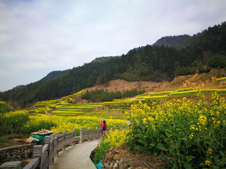 mmexport1522023702666