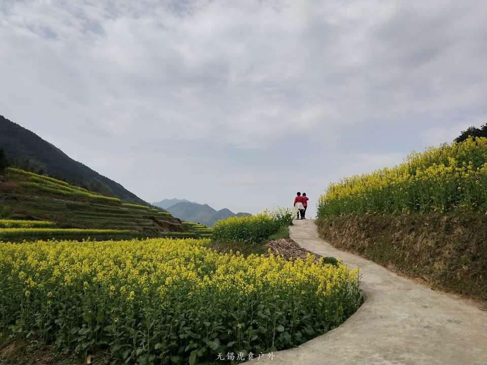 mmexport1522023710049