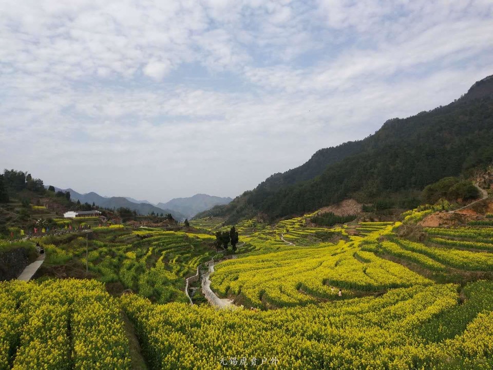 mmexport1522023719975