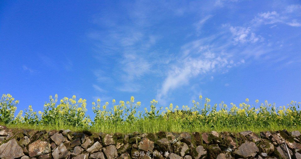 mmexport1522023751340