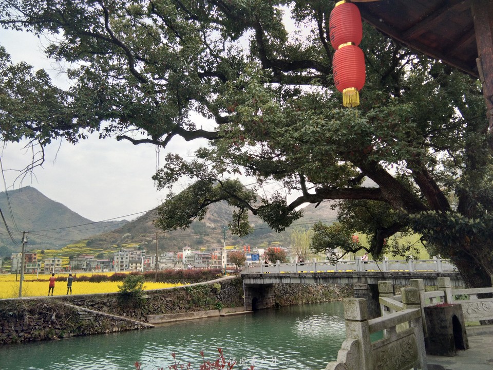 mmexport1522023733534