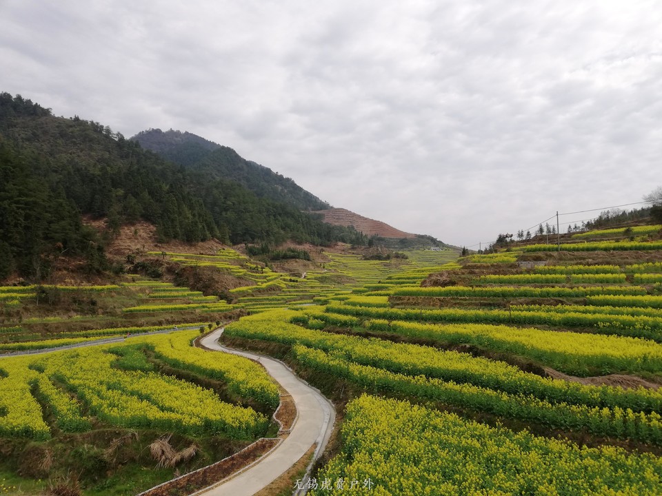 mmexport1522023758723