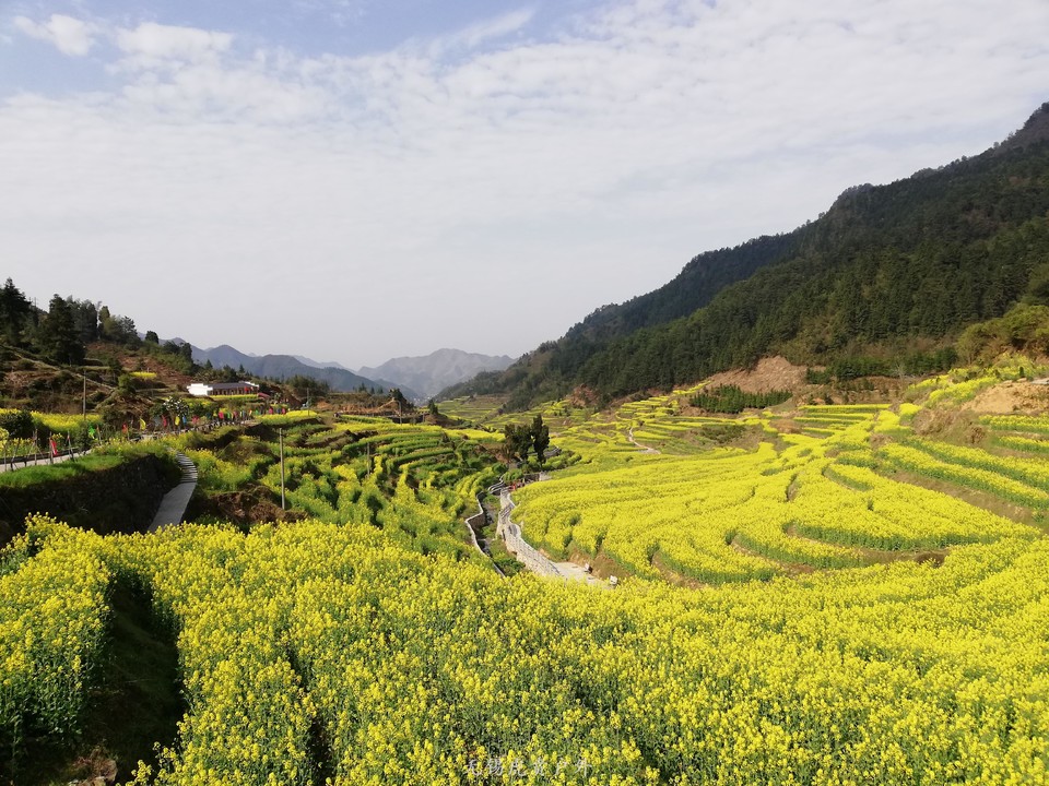 mmexport1522023760911