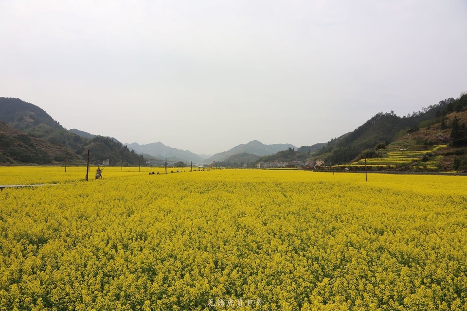 mmexport1522023764210