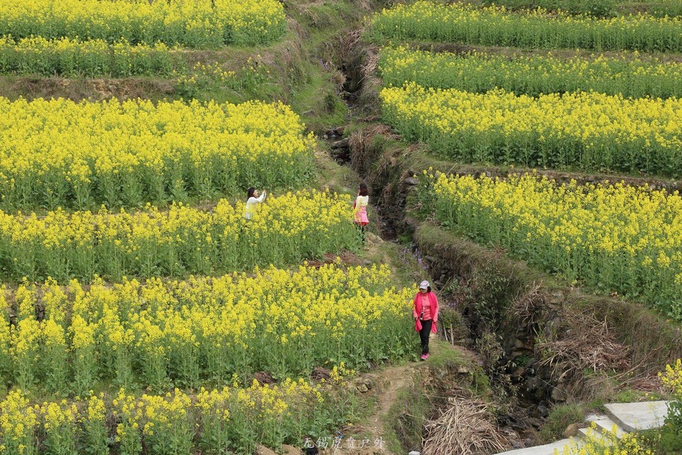 mmexport1522023779957