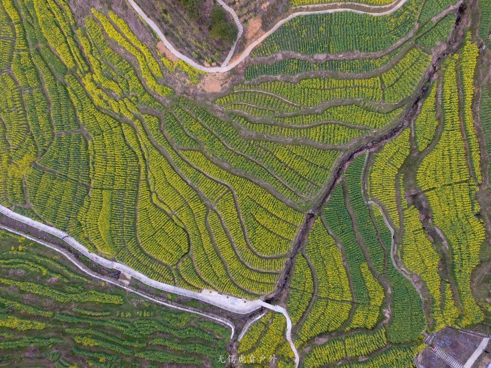 mmexport1522023794031