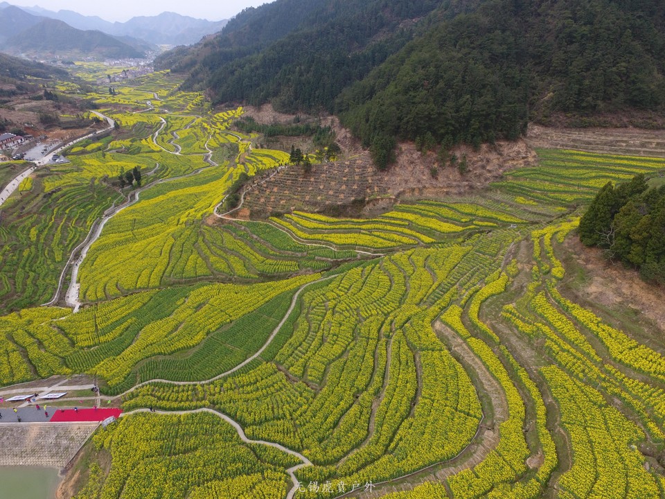 mmexport1522023797405