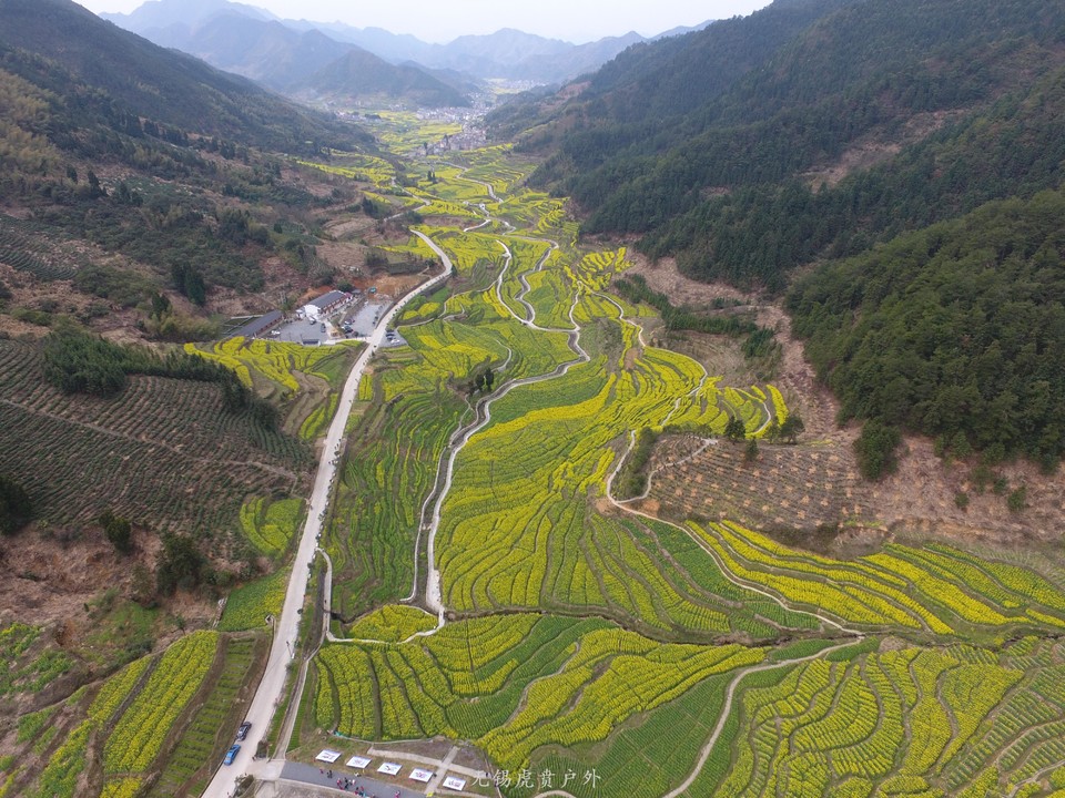 mmexport1522023804798