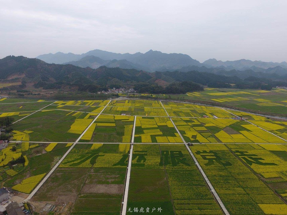 mmexport1522023812581