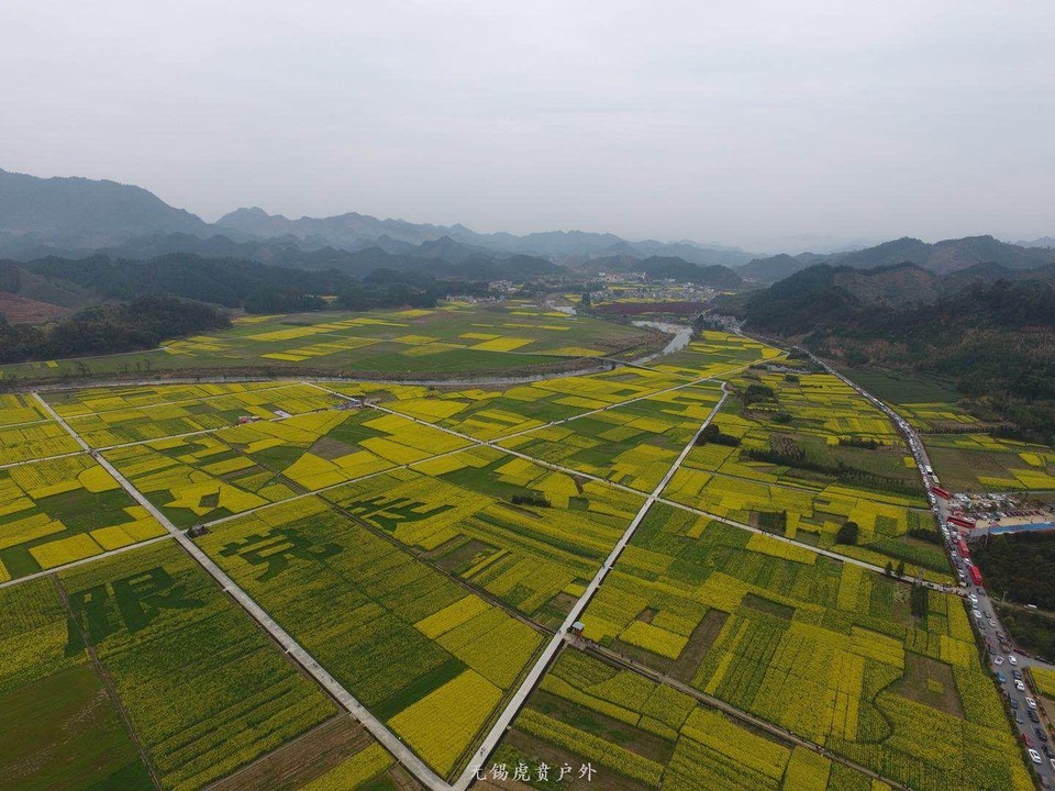 mmexport1522023818195