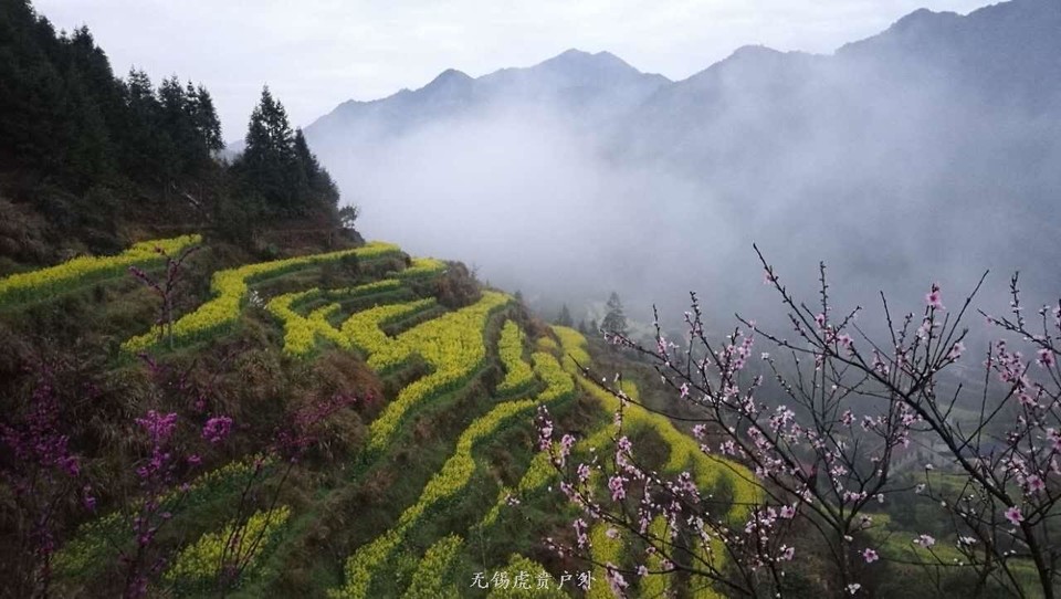 mmexport1522023854603