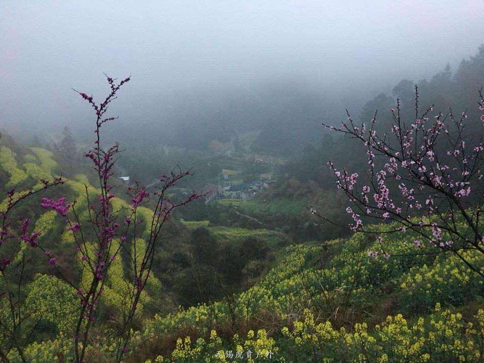 mmexport1522023862824