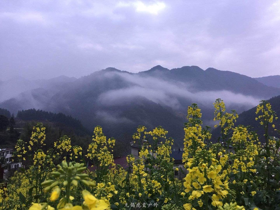 mmexport1522023865726