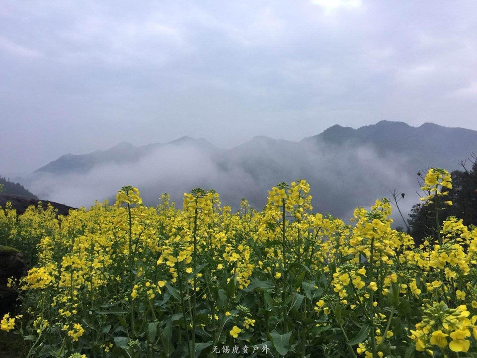 mmexport1522023873842