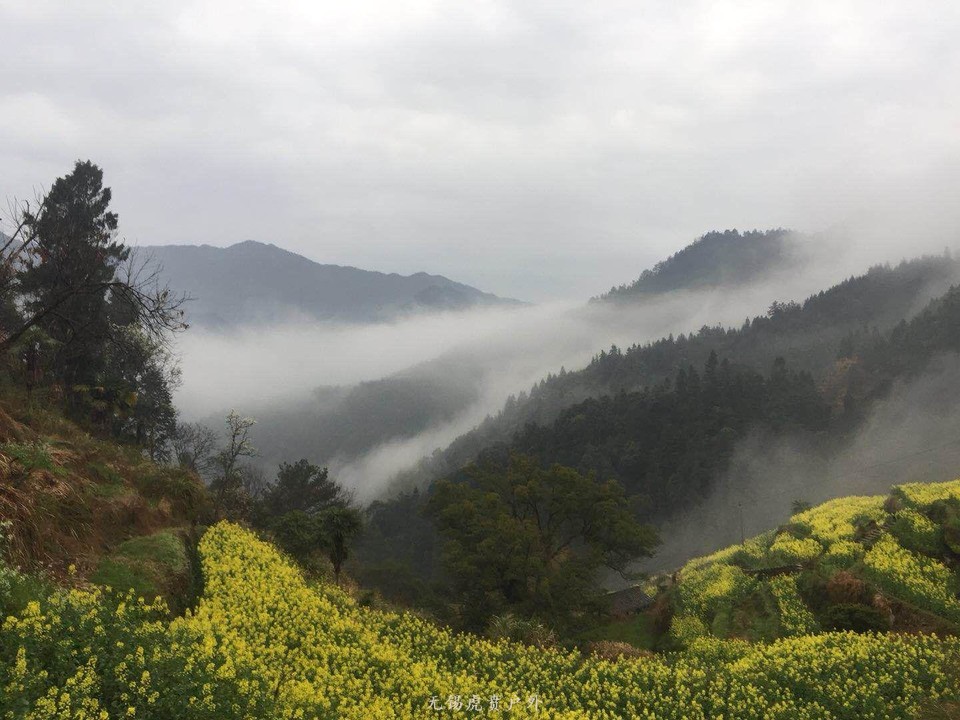 mmexport1522023878048