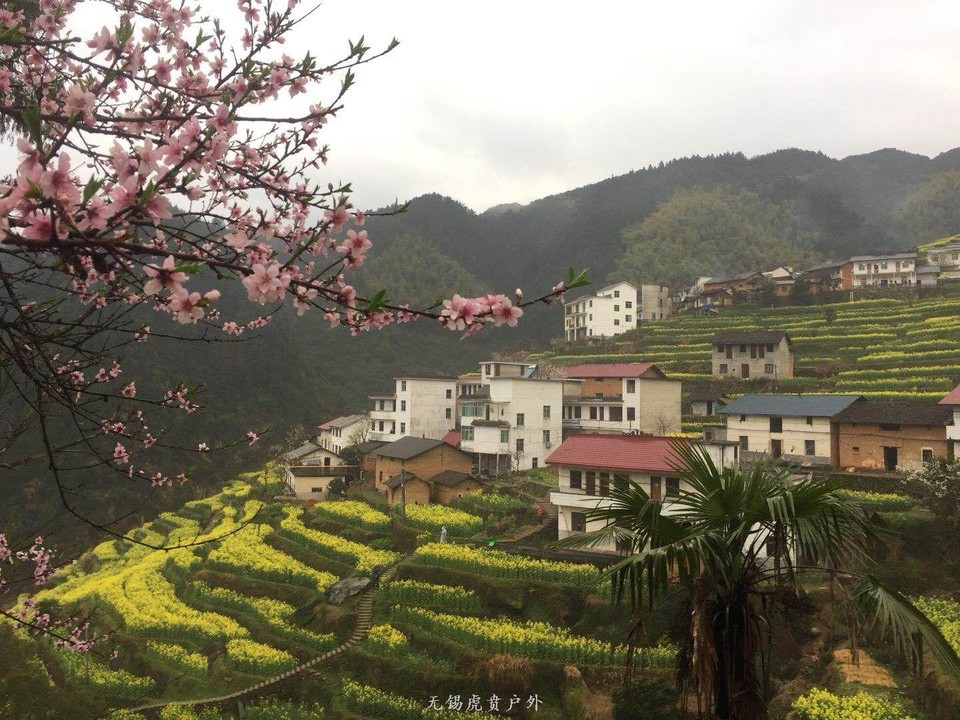 mmexport1522023884756