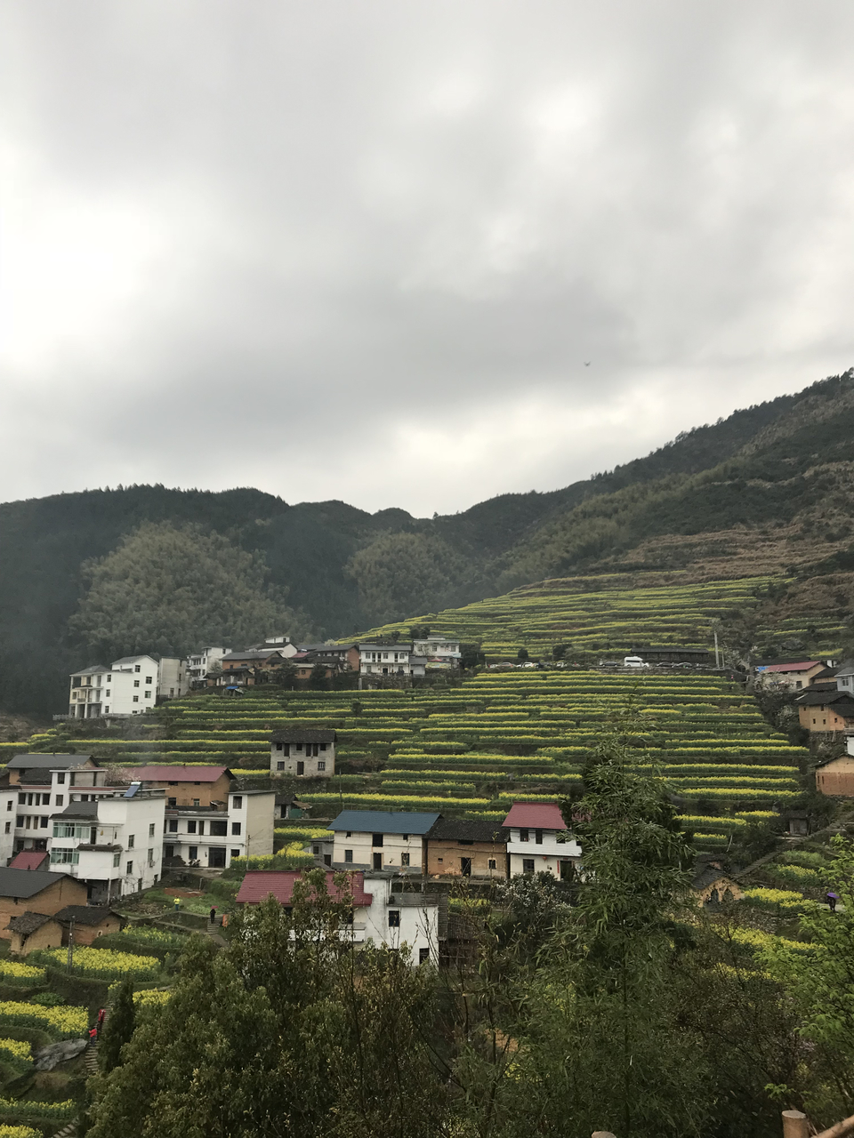 mmexport1522023897274