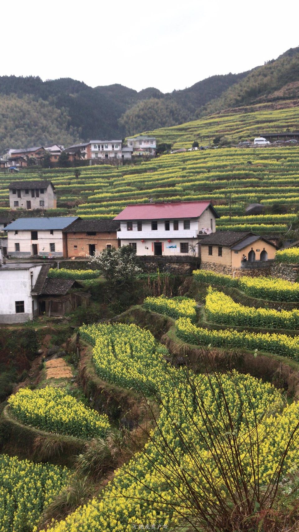 mmexport1522023899570