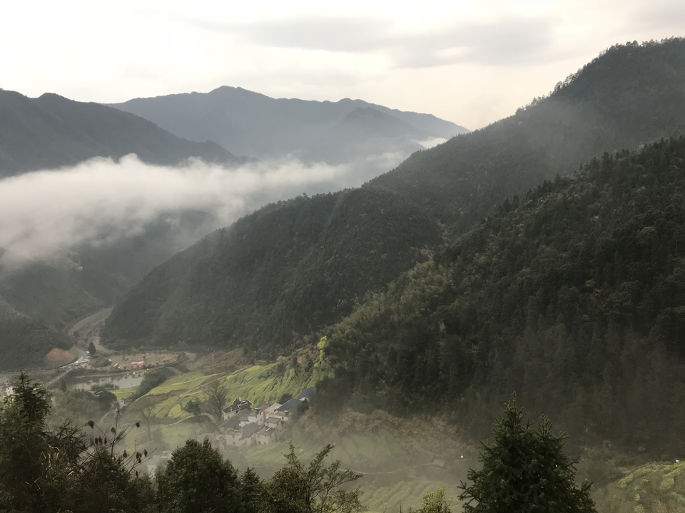 mmexport1522023912248