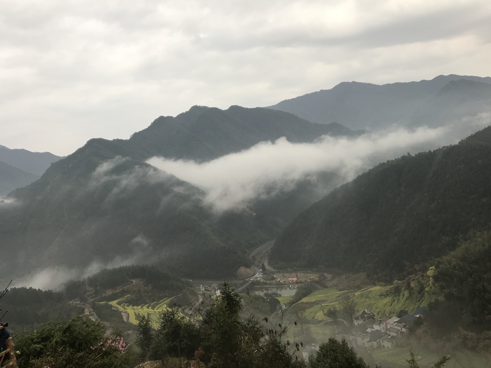 mmexport1522023919516