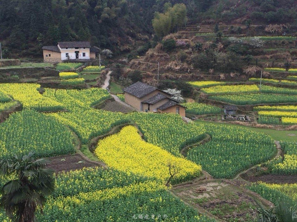 mmexport1522023928441