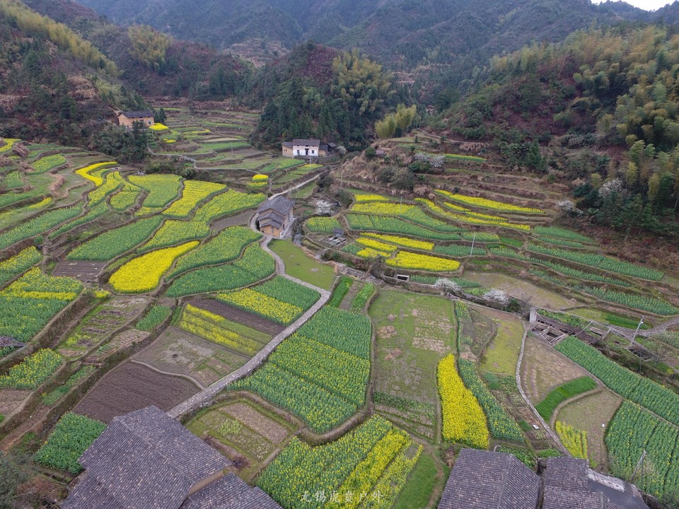 mmexport1522023935070