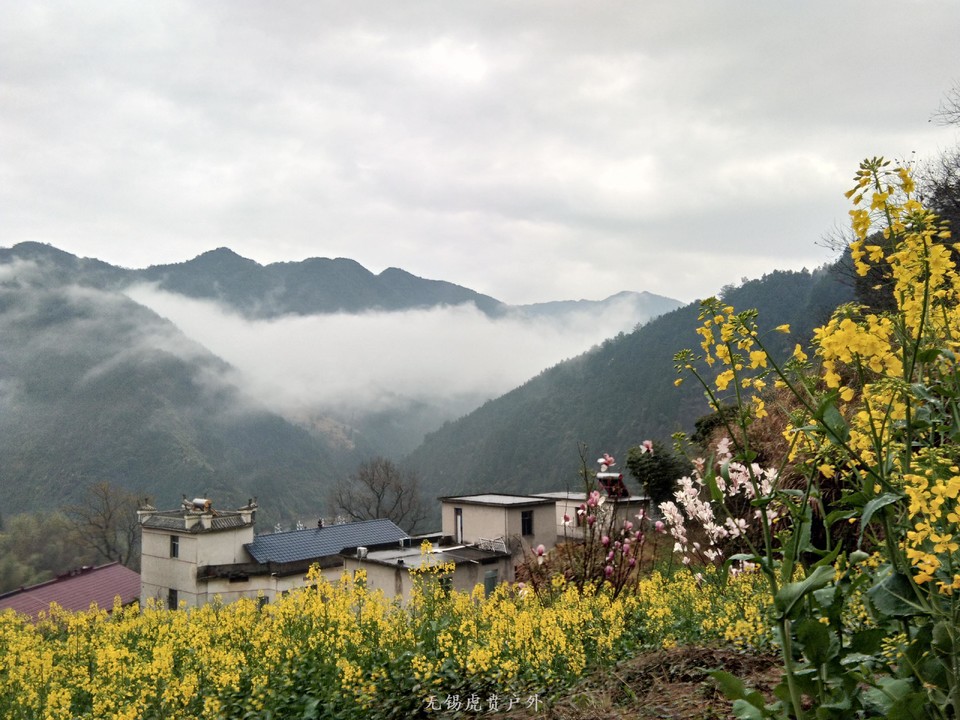 mmexport1522023973295