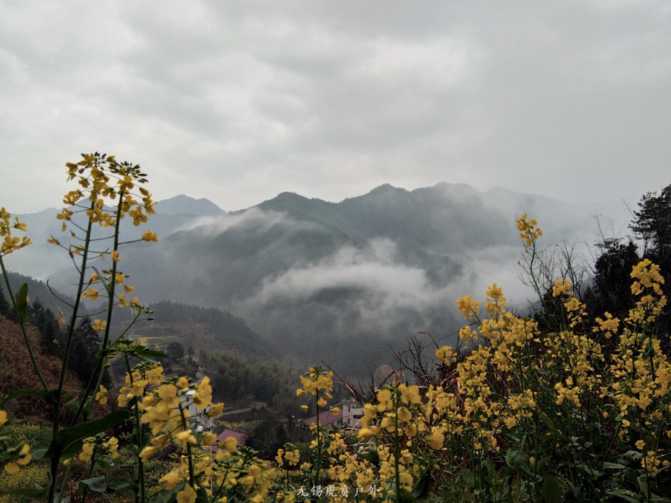 mmexport1522023975339