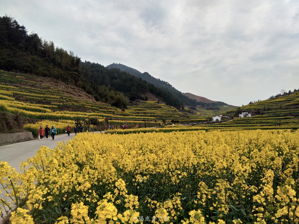 mmexport1522023980936