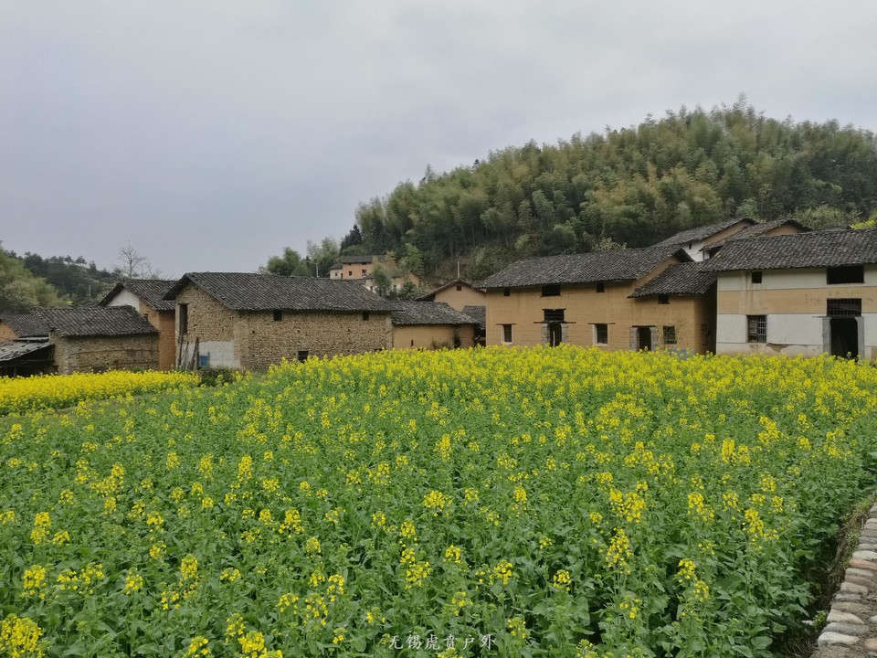 mmexport1522023995334