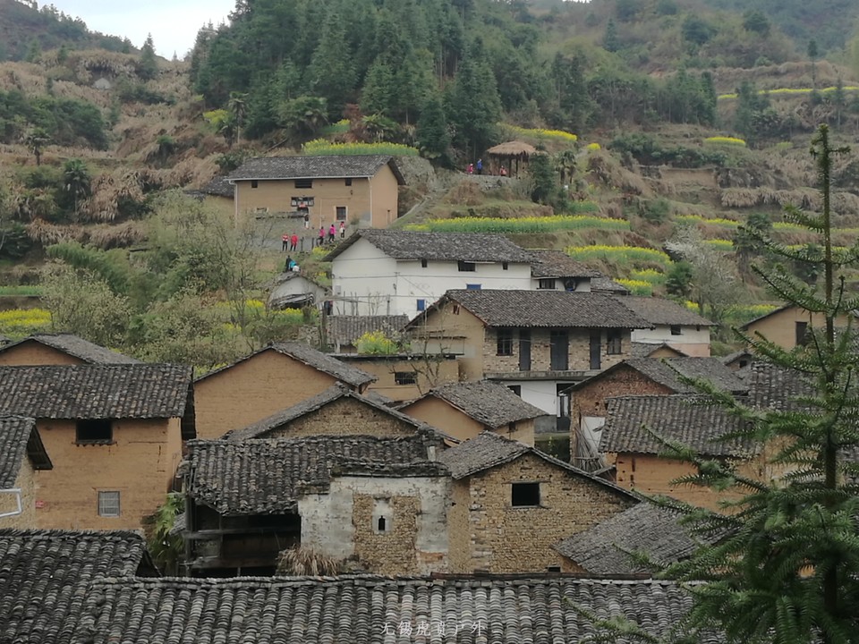 mmexport1522024000233