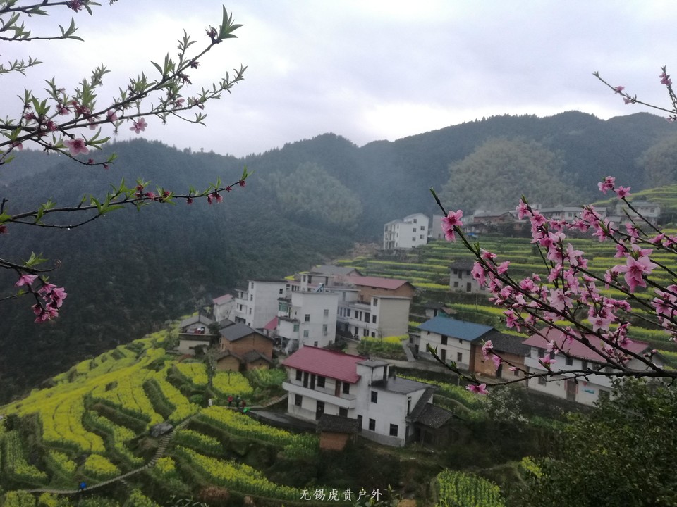 mmexport1522024025263