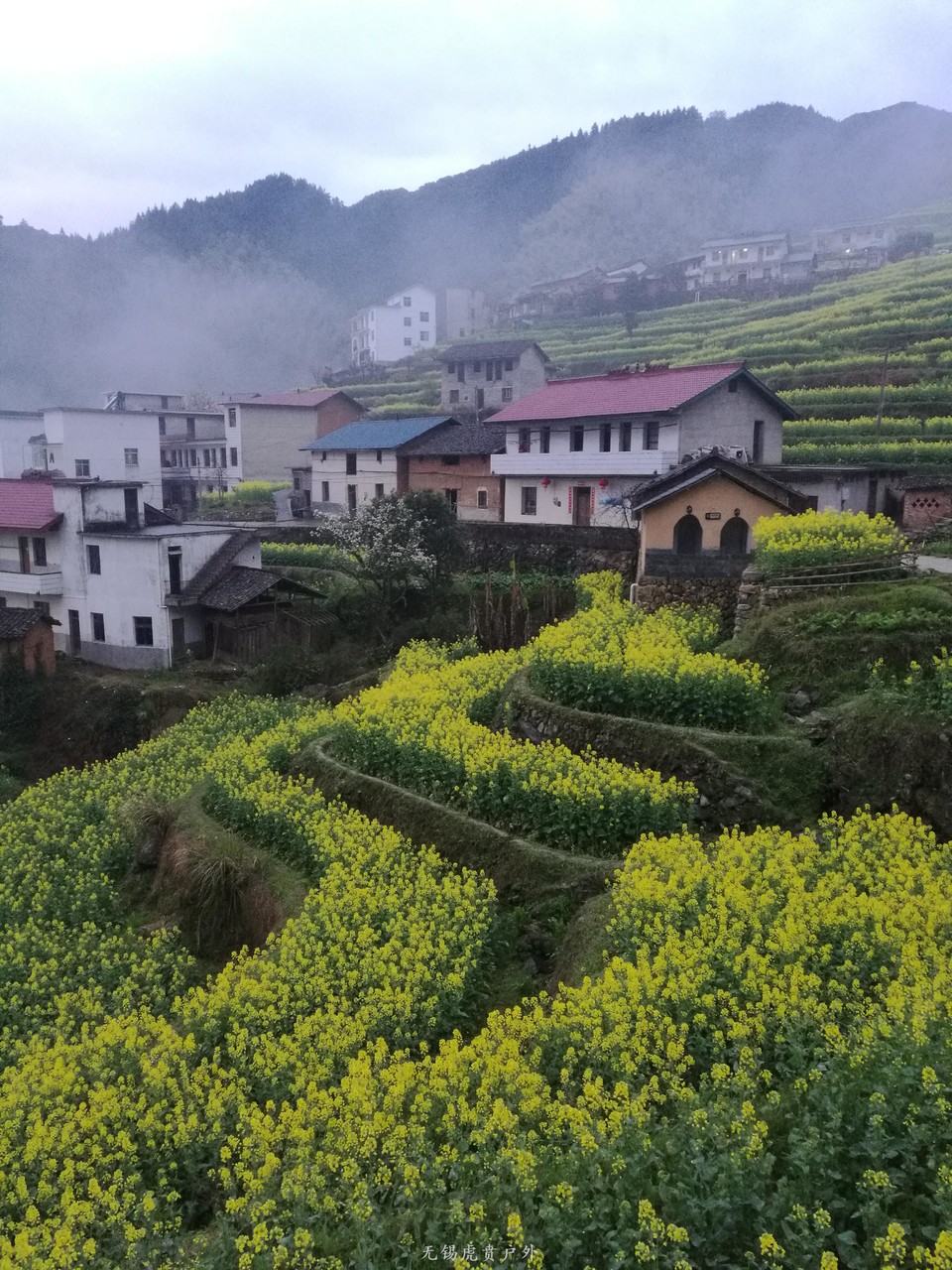 mmexport1522024031274