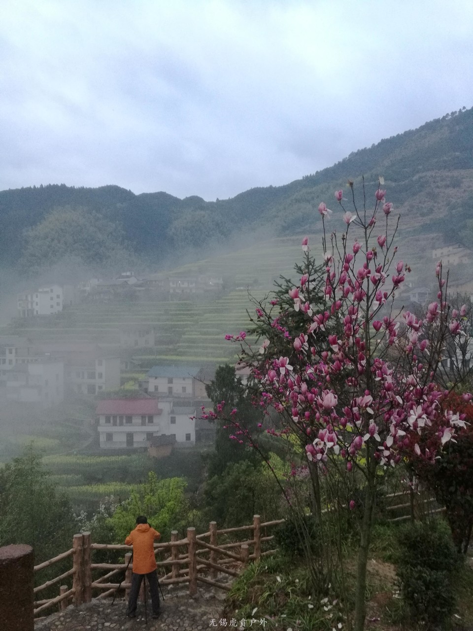 mmexport1522024046870