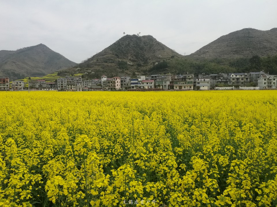 mmexport1522024117722