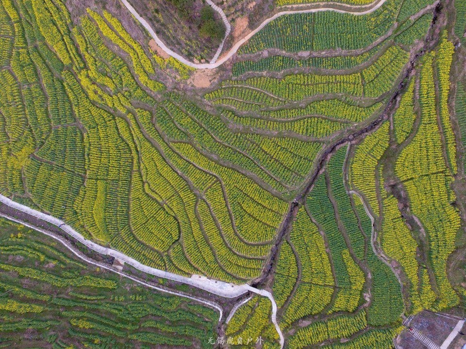 mmexport1522024216617