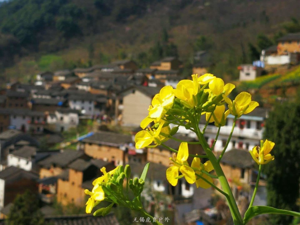 mmexport1521368492335