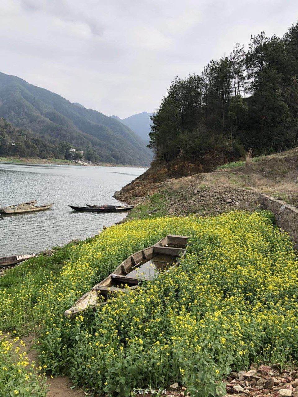 mmexport1521368506052