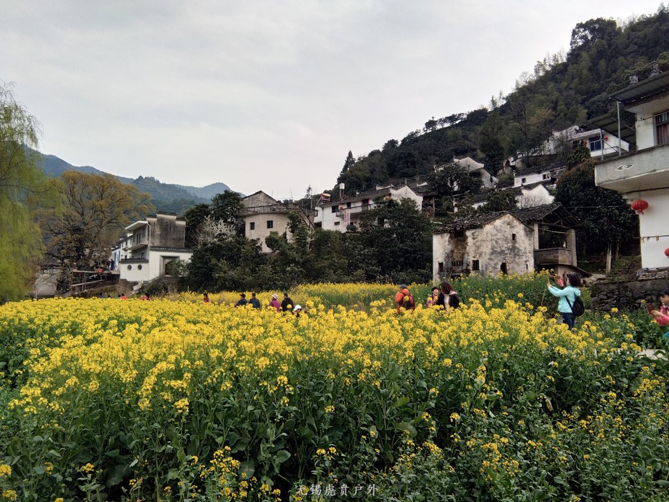 mmexport1521368521496