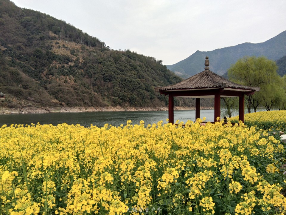 mmexport1521368529619