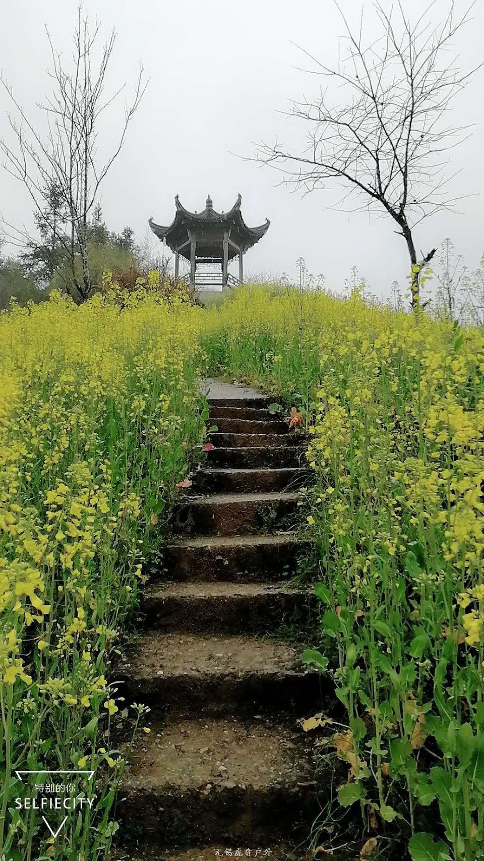 mmexport1521368635407