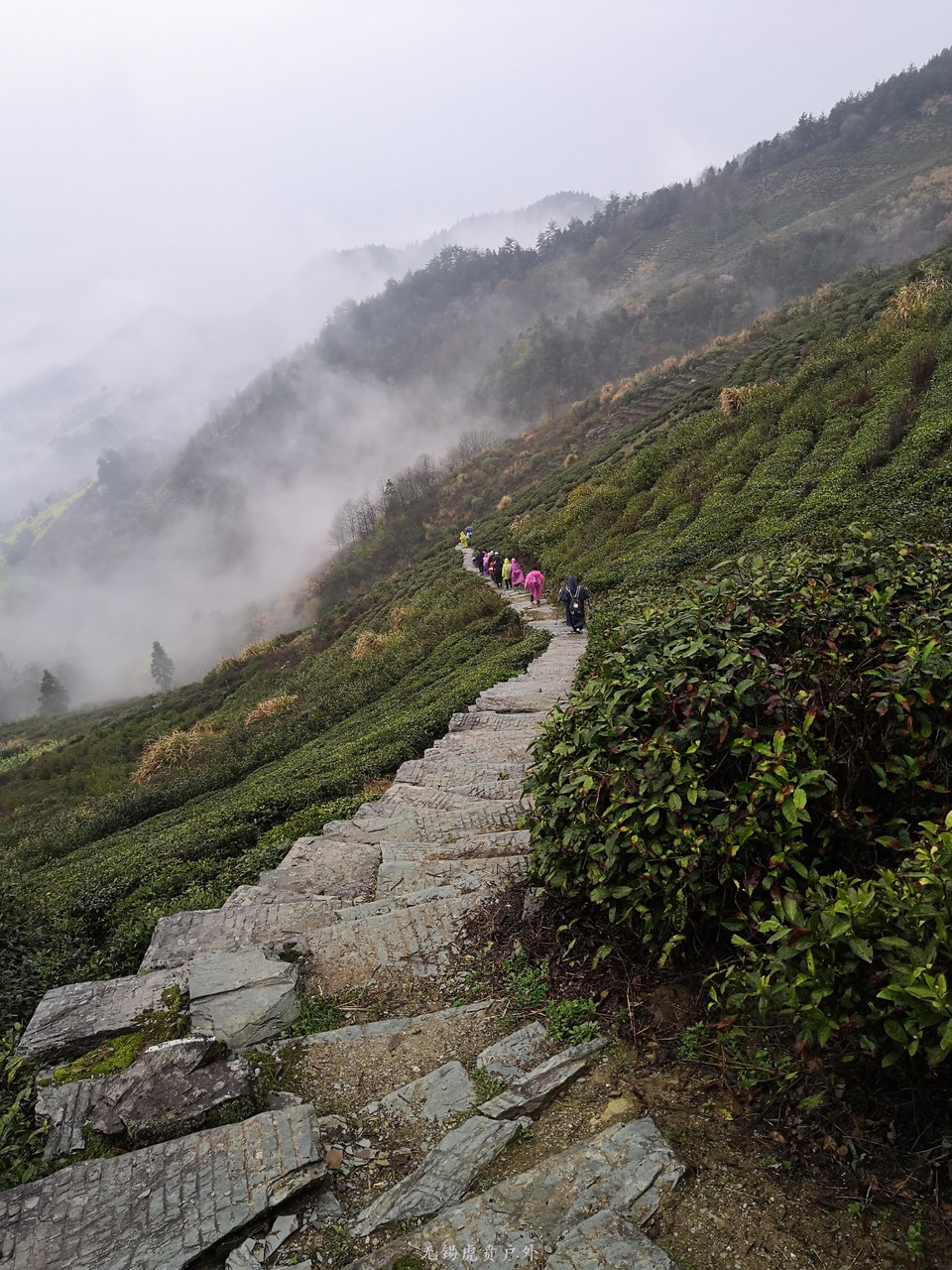 mmexport1521368696621