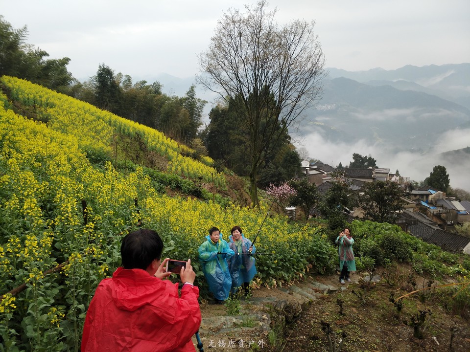 mmexport1521368720721