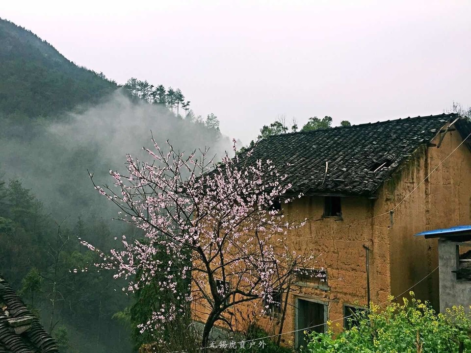 mmexport1521368767806