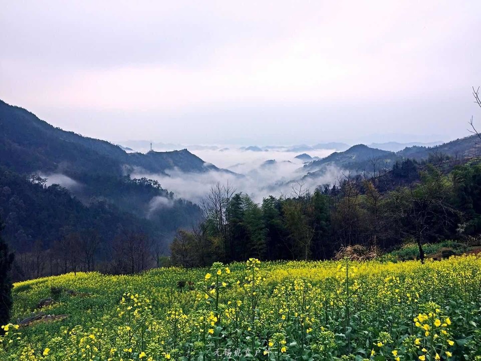 mmexport1521368773099